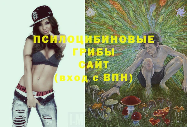 не бодяженный Беломорск