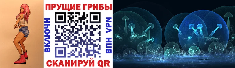 купить наркоту  Вязники  Галлюциногенные грибы Psilocybine cubensis 